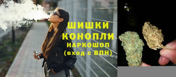 шишки Нязепетровск