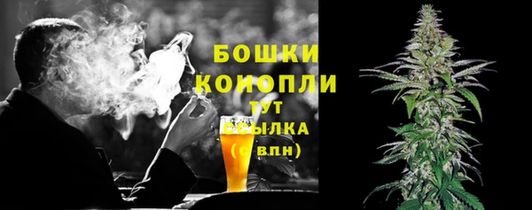 шишки Нязепетровск