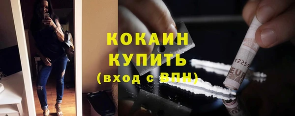 шишки Нязепетровск
