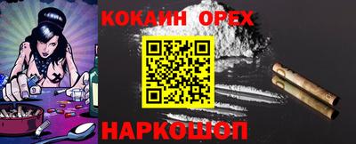 прущие грибы Северобайкальск