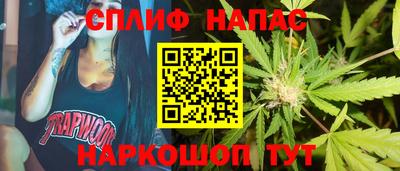 прущие грибы Северобайкальск