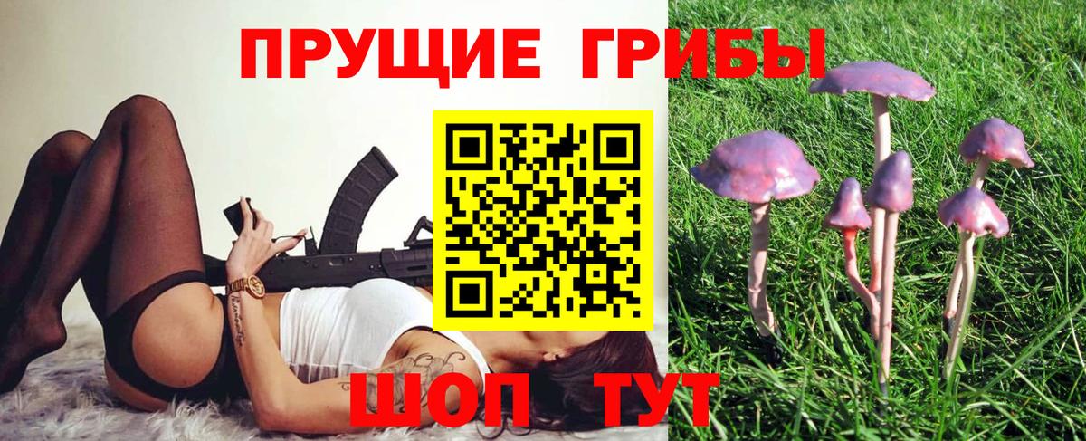 Полевской  Псилоцибиновые грибы Psilocybine cubensis  Вход с VPN  Галлюциногенные грибы GOLDEN TEACHER 