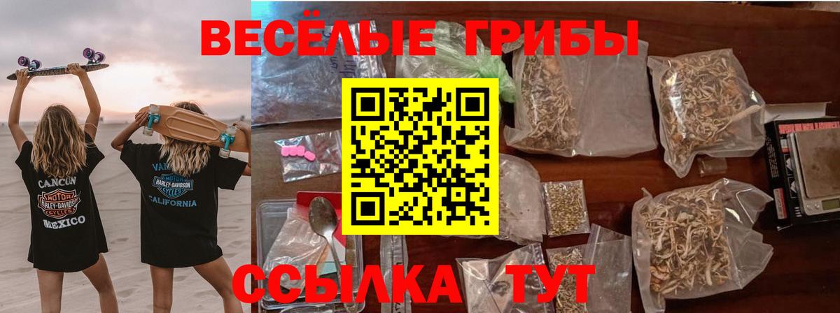Псилоцибиновые грибы Magic Shrooms Полевской